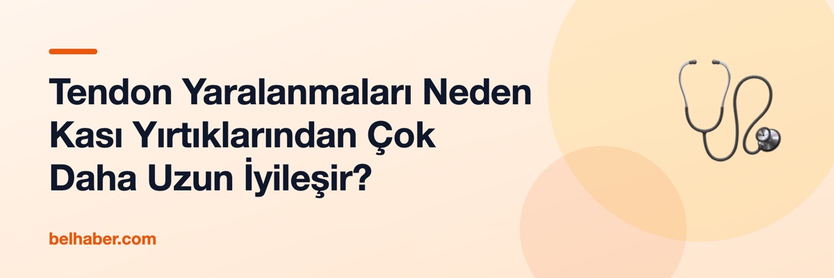 Tendon Yaralanmaları Neden Kası Yırtıklarından Çok Daha Uzun İyileşir?